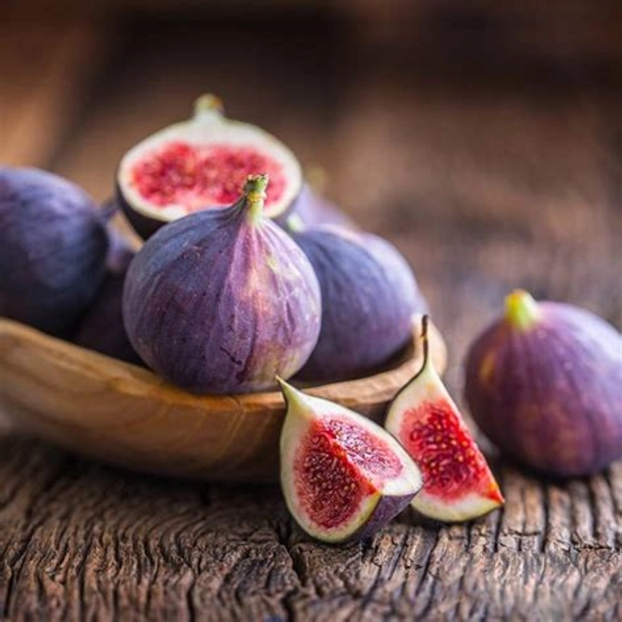 Fig
